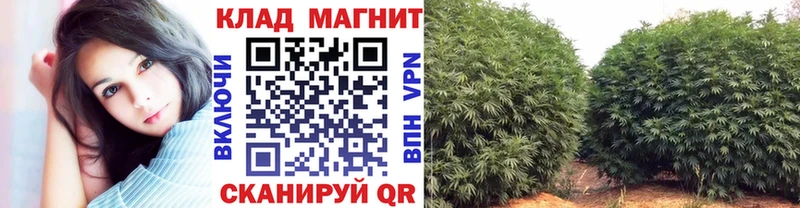 Наркошоп купить Амфетамин  Меф мяу мяу  Alpha PVP  ГАШ  Cocaine  МАРИХУАНА  Барабинск